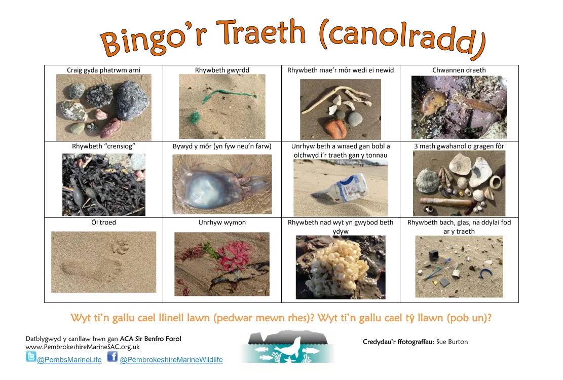 Beach bingo beginner