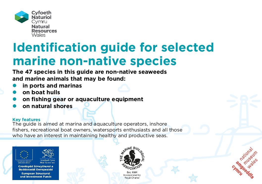 NRW NNS ID Guide - English